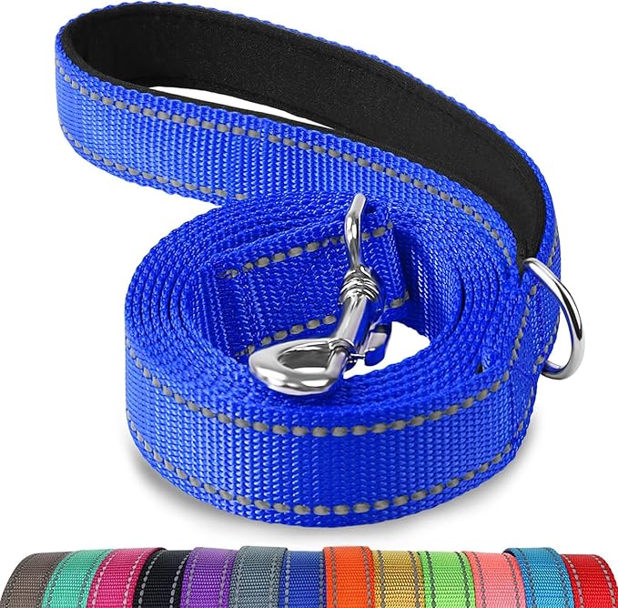 Joytale Dog Leash, 5 FT Double-Sided Reflective, Padded Handle Nylon Heavy Duty Leashes for Medium & Large Dogs Walking, Navy Blue