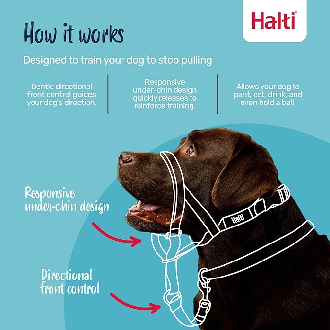 Halti Headcollar - Stop Your Dog Pulling on the Leash. Adjustable, Reflective and Lightweight, with Padded Nose Band. Dog Training Anti-Pull Collar for Small Dogs (Size 1, Black)