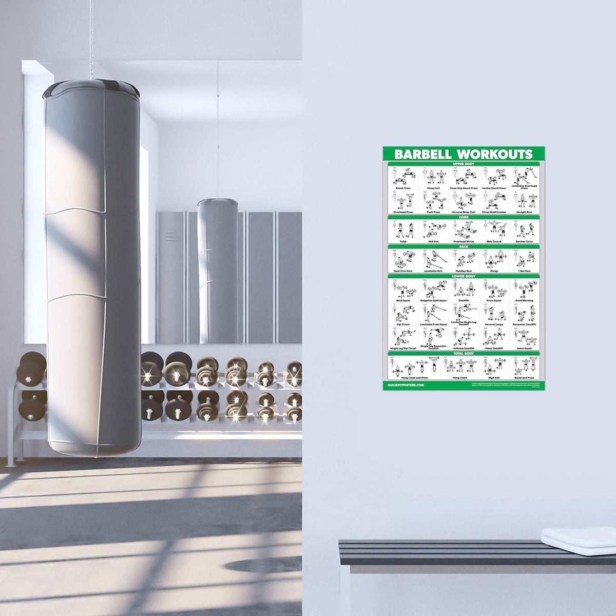 Skiennix Exercise Workout Poster Set - 10 Pack of Laminated Fitness Charts | 18" x 24" Size