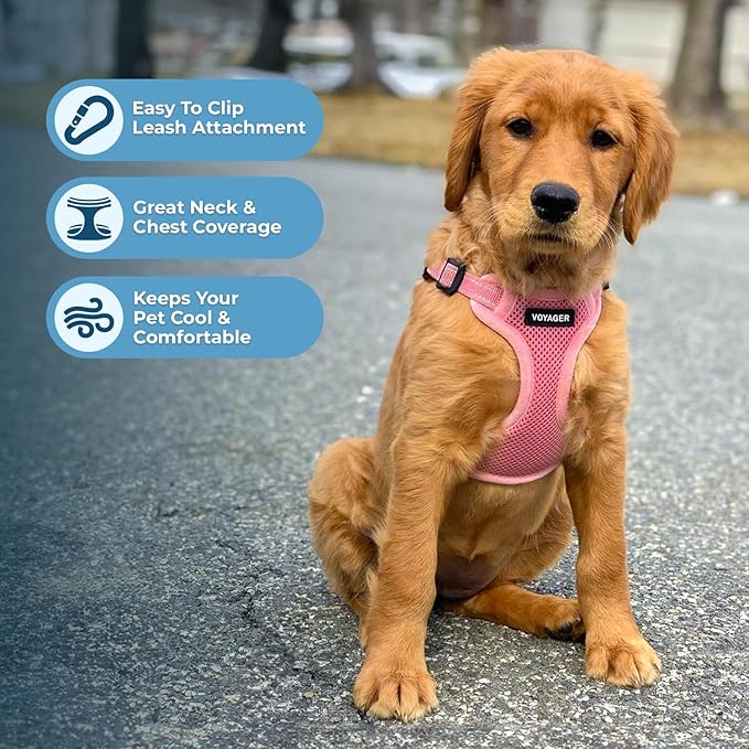 Best Pet Supplies Voyager Adjustable Step-in Flex Breathable Mesh Dog Harness for Small Medium Large Dogs (Pink), XS