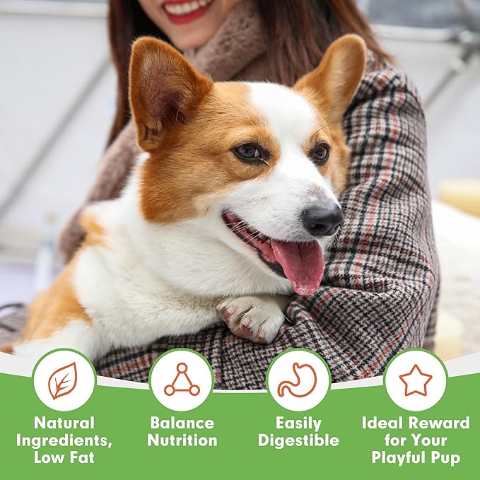 MON2SUN Lollipop Dog Treats, 4.5 Inch Chicken and Egg with Rawhide Twist Sticks, Healthy and Teeth Cleaning Snacks for Small Dogs, 10.58oz (15 Count-Pack of 1)