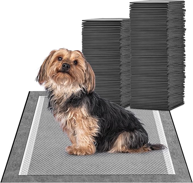 MIZOK Puppy Pads for Dogs 23X24in Pet Pads, Charcoal Odor Eliminating Wee Wee Pads for Dogs Absorbs Up to 4 Cups Urine, 6 Layers Leak-Proof Puppy Pads Pet Training Pads (100 Counts)