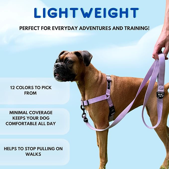 ShawnCo Dream Walk No-Pull Dog Harness- Adjustable, Comfortable, Easy to Use Pet Halter to Help Stop Pulling for Small, Medium and Large Dogs (Orchid, S)