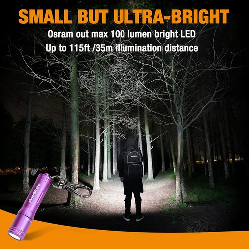 EverBrite Mini LED Keychain Flashlight - Bright Portable Pocket Torch for EDC & Emergencies | Purple