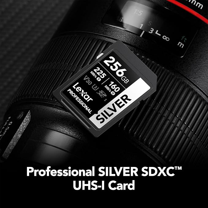 Lexar 256GB Professional Silver SD Card,