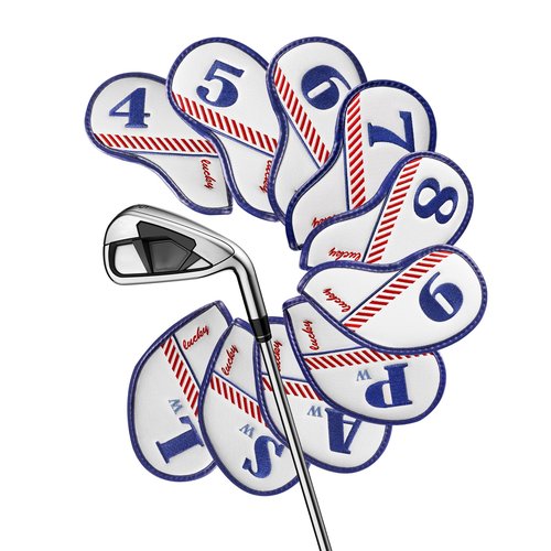 Big Teeth Golf $100 Lucky Bill Iron Headcover, One Hundred Dollar Golf Iron Club Head Cover 10pcs（4-9,Pw,Aw,Sw,Lw）