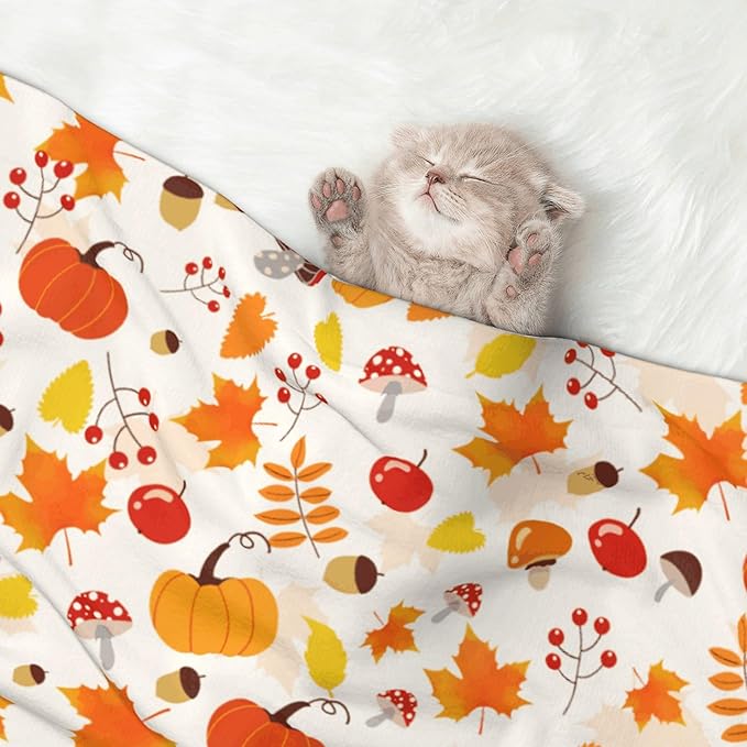 Fall Blanket for Dog Cat - Pumpkin Mushroom Throw Blanket 23x16 Halloween Autumn Pet Blanket for Couch Sofa Bed