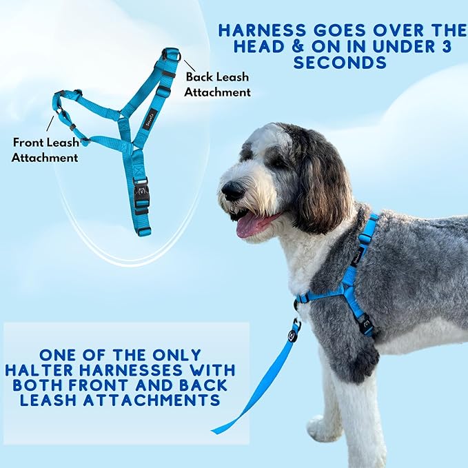 ShawnCo Dream Walk No-Pull Dog Harness- Adjustable, Comfortable, Easy to Use Pet Halter to Help Stop Pulling for Small, Medium and Large Dogs- Art Pattern Designs (Stars and Stripes, L)