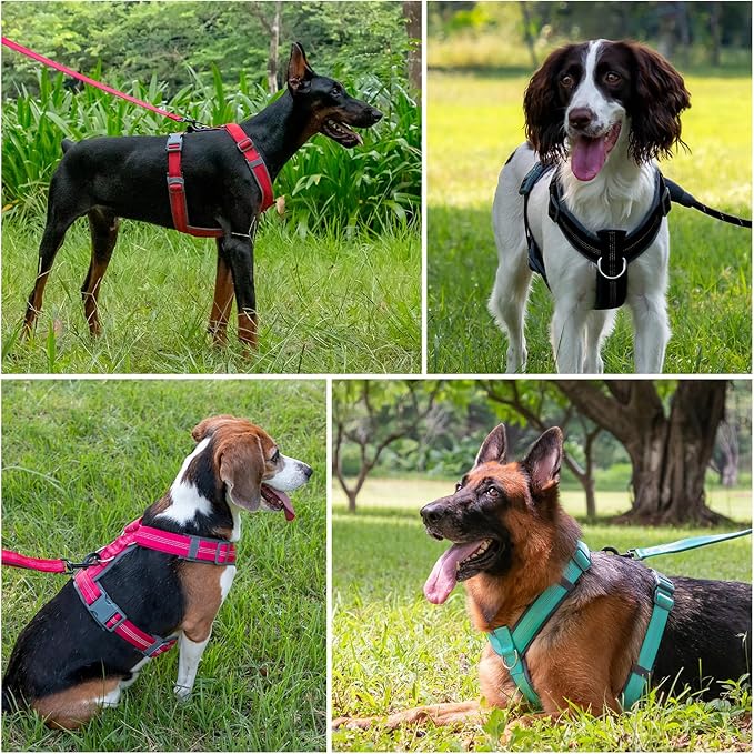 Plutus Pet No Pull Dog Harness, Adjustable Nylon Harness with Soft Padding, Reflective and Heavy Duty Dog Harness for Small, Medium, Large Dogs(Red, S)