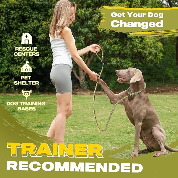 Fida Slip Leads for Dogs, 6 FT x 1/2" Dog Leash Heavy Duty Comfortable Strong Rope Lead for Large, Medium Dogs, No Pull Pet Training Leash with Highly Reflective,Yellow