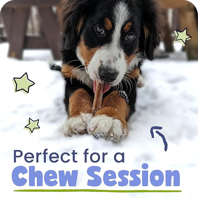 Pawstruck Natural 9” Braided Bully Sticks for Dogs - Tough, Long-Lasting, Rawhide-Free, Low Odor, Healthy Single Ingredient Chew Treat for Aggressive Chewers - 25 Count - Packaging May Vary