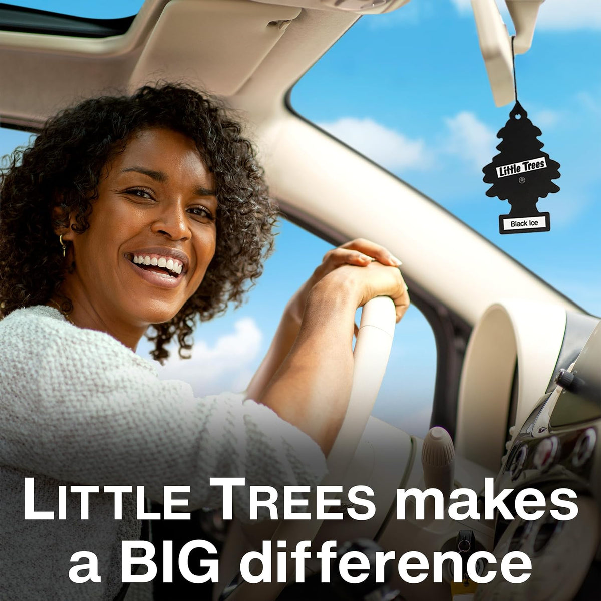 LITTLE TREES Car Air Freshener | Hanging Tree Provides Long Lasting Scent for Auto and Home | 24 Air Fresheners |True North