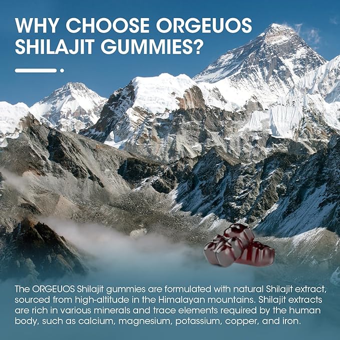 Himalayan Shilajit Gummies with 85+ Trace Minerals & Fulvic Acid for Energy, Immune, Cognitive Support High Potency Pure Natural Shilajit Supplement for Men & Women 60 Gummies (2 Packs)