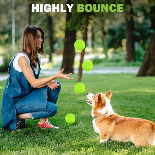 FURWEY Pressureless Tennis Balls - Bulk Pack for Beginners & Pets | Includes Mesh Transport Bag