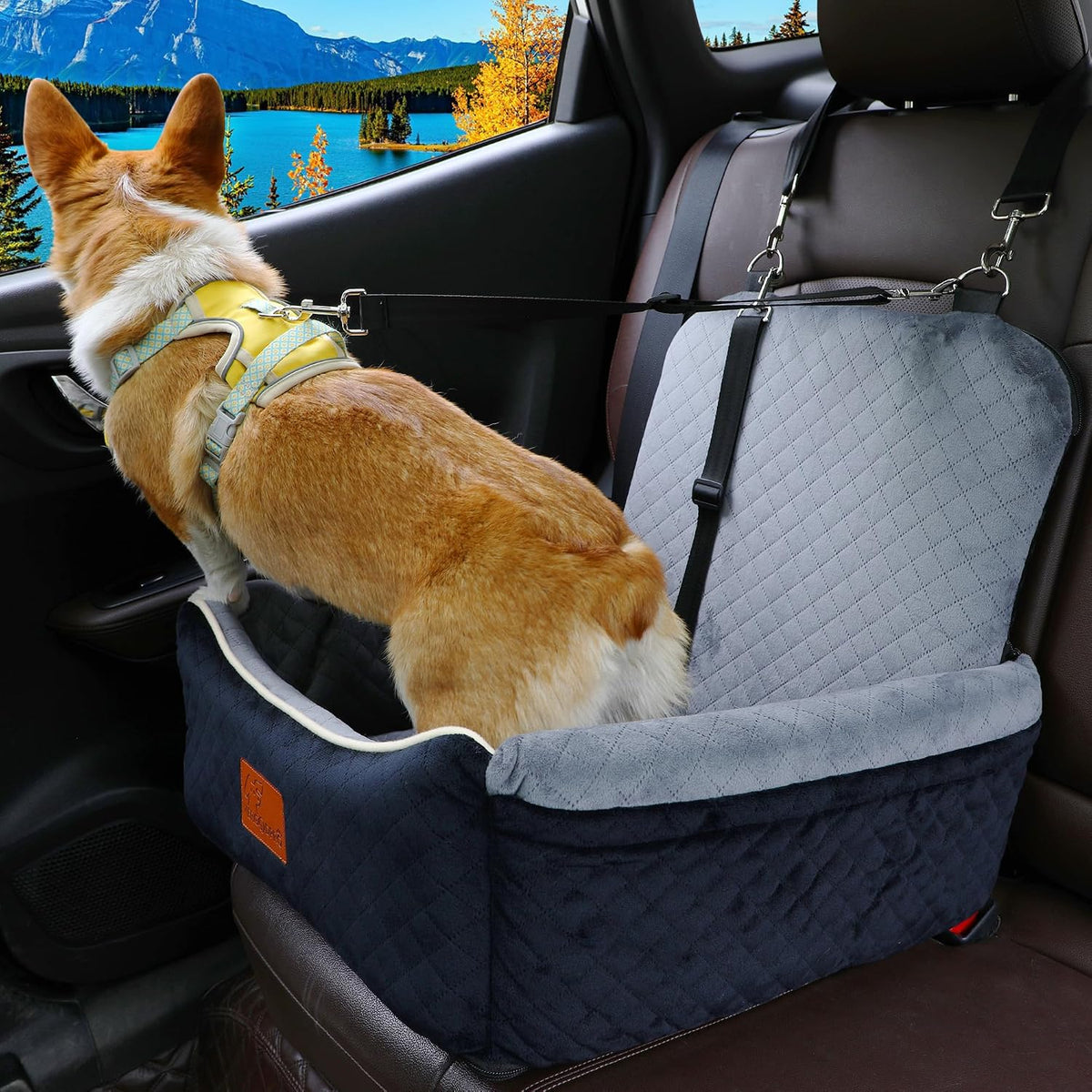 Dog Car Seat Bed 2 in 1 for Small/Medium Dogs up to 35 lbs,Adjustable Safety Leashes,Memory Foam with Soft Fabric Pets Travel Car Bed,Easily Installed in Front and Back seat,Removable and Washable.