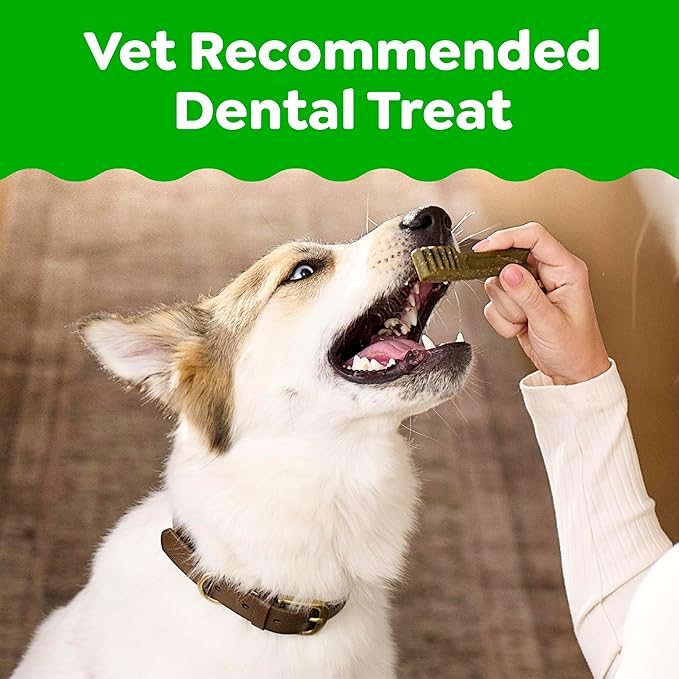 Greenies Veterinarian-Recommended Adult Natural Dental Dog Treats Petite Size, Sweet Potato Flavor, 12 oz. Pack, 20 Count