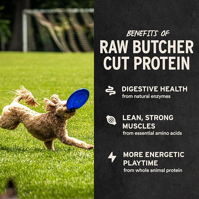 Vital Essentials Single Ingredient Chicken Breast Dog Treats, 3.75 oz | Freeze-Dried Raw | Premium Quality High Protein Training Treats | Grain Free, Gluten Free, Filler Free