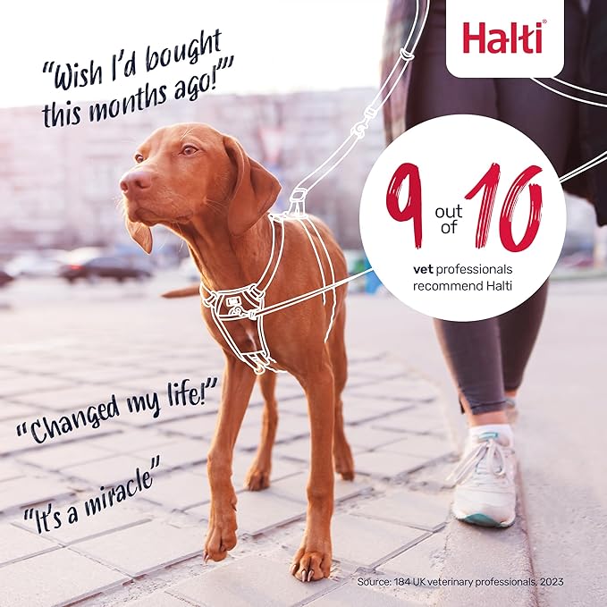 Halti No Pull Harness - Stop Your Dog Pulling on The Leash. Adjustable, Lightweight and Easy to Use. Reflective Dog Training Harness for Toy and Small Dogs (Size XS, Burnt Orange)