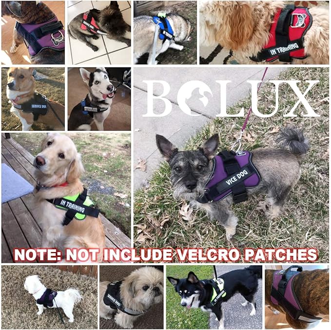 Bolux Dog Harness, No-Pull Reflective Dog Vest, Breathable Adjustable Pet Harness with Handle for Outdoor Walking - No More Pulling, Tugging or Choking (Green, S)