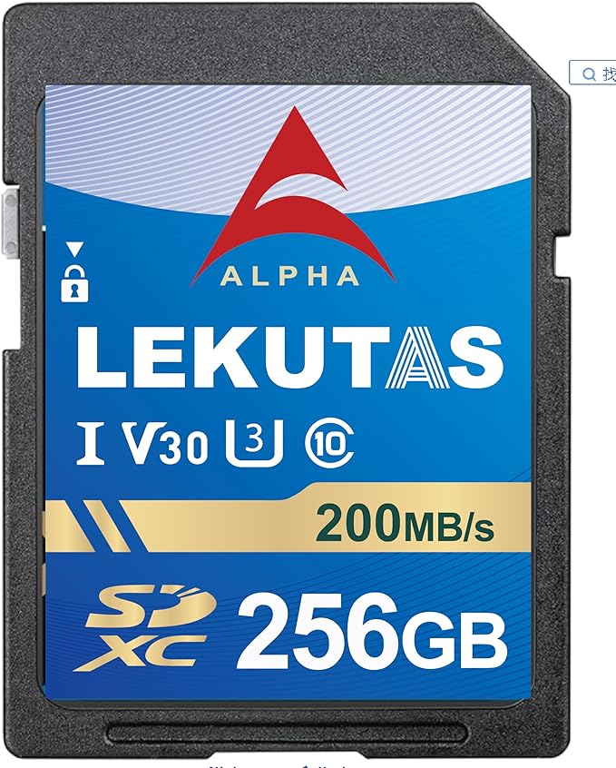 256GB SDXC UHS-I Memory Card