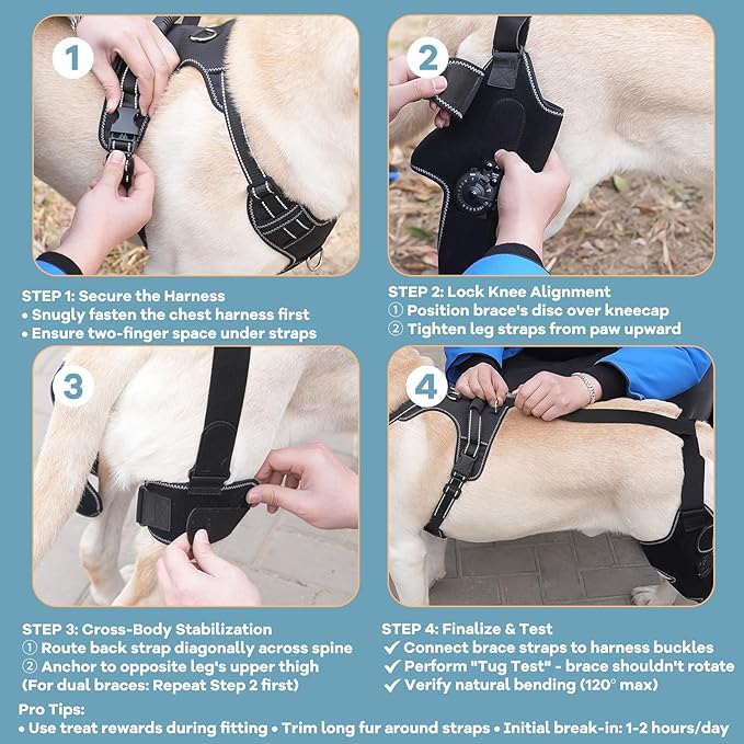 Dog Knee Brace with Adjustable Support – ACL & CCL Tear Recovery, Post-Surgery Stabilization, Mobility Aid for Rear Legs – Includes Secure Chest Harness for Dogs(Left,L)