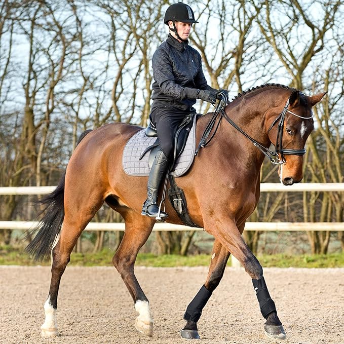 HORZE Brushing Splint Boots for Horses (Pair) - Durable Neoprene, Secure Closure, Lightweight - Black - XL