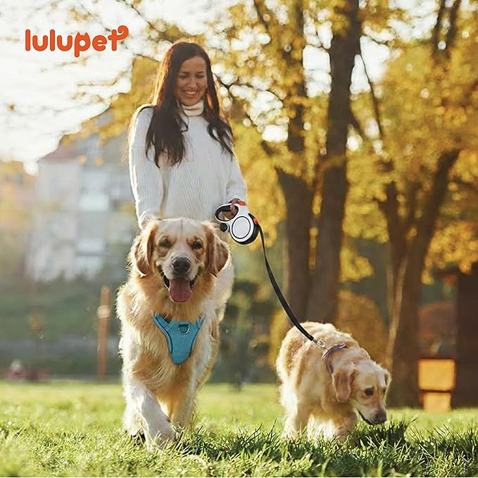 3 in 1 No Pull Dog Harness Leash and Collar Set, Soft Adjustable Dogs Vest Reflective and Comfortable Handle Blue X-Large