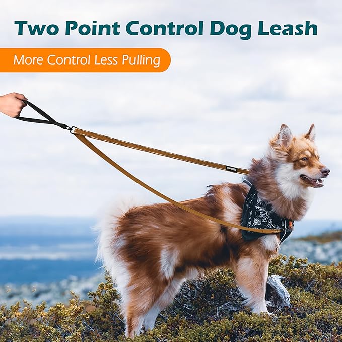 PetBonus Two Point Control Dog Leash, Works with No Pull Harnesses, No Tangle Training Leashes, Soft Padded and Reflective Walking Lead, Converts to Single Lead for Medium Large Dogs (Brown)