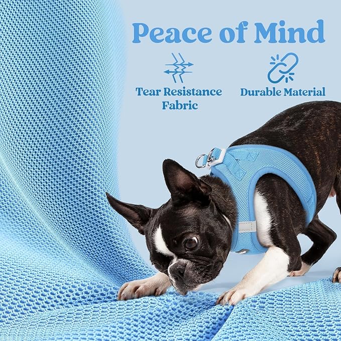 rabbitgoo Small Dog Harness, Step-in Soft Mesh Puppy Vest with Safety Buckle, Breathable Reflective Pet Harness for Extra Small Dogs, Blue XXXS