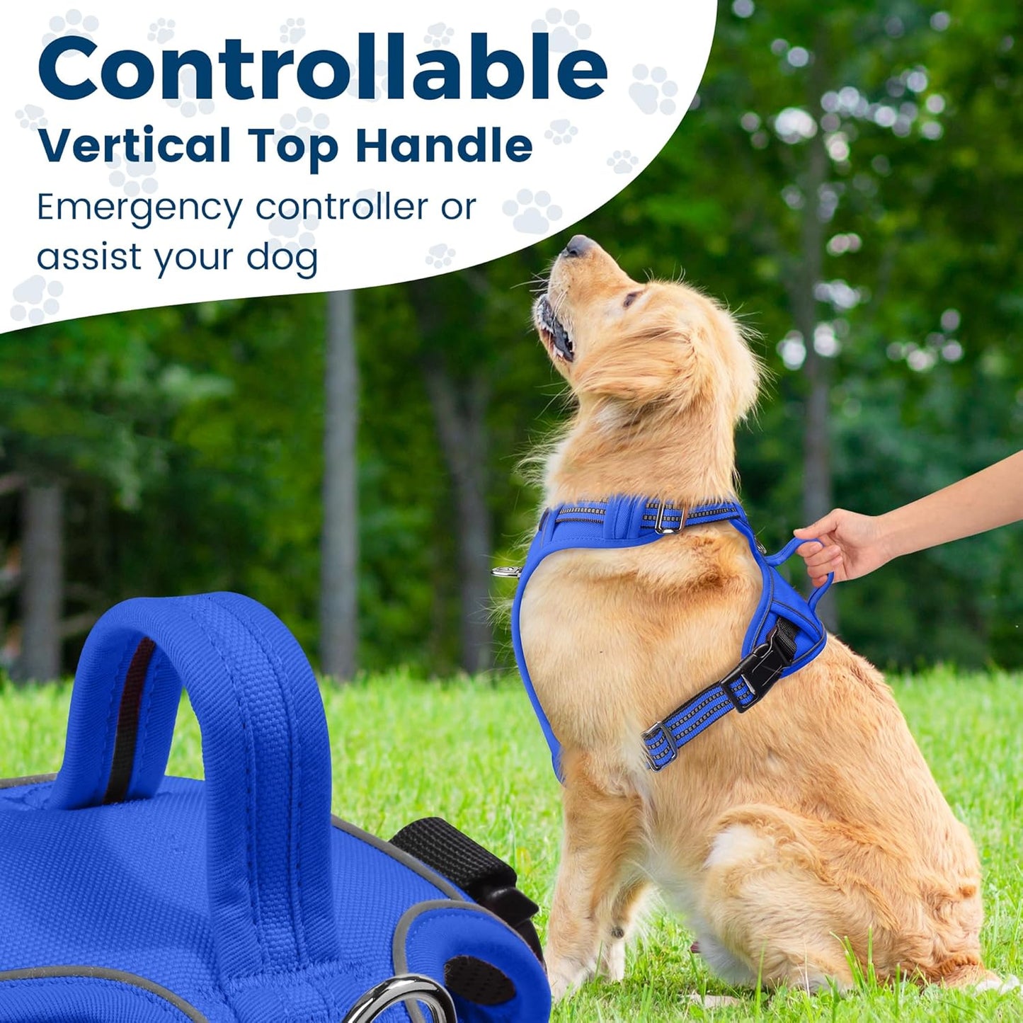Funfox Dog Harness No Pull, Adjustable Pet Vest Harness, Super Soft Material with Vertical Handle Easy Control, Reflective Night Walking, 2 Leash Clips for Large Dogs, Blue, L
