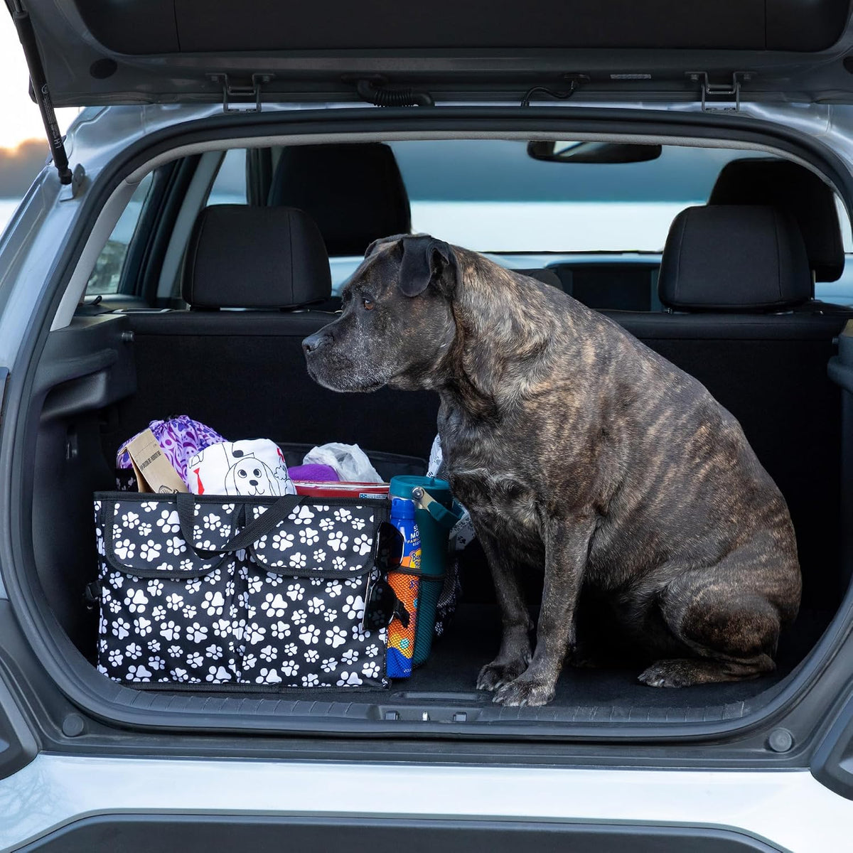 GreaterGood Collapsible Paw Print Car Trunk Organizer with 6 Pockets Truck SUV and Sedan Caddy With Compartment Vehicle Storage Container (Paws Galore - Black & White)