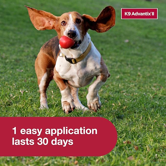 K9 Advantix II Small Dog Vet-Recommended Flea, Tick & Mosquito Treatment & Prevention | Dogs 4-10 lbs. | 4-Mo Supply