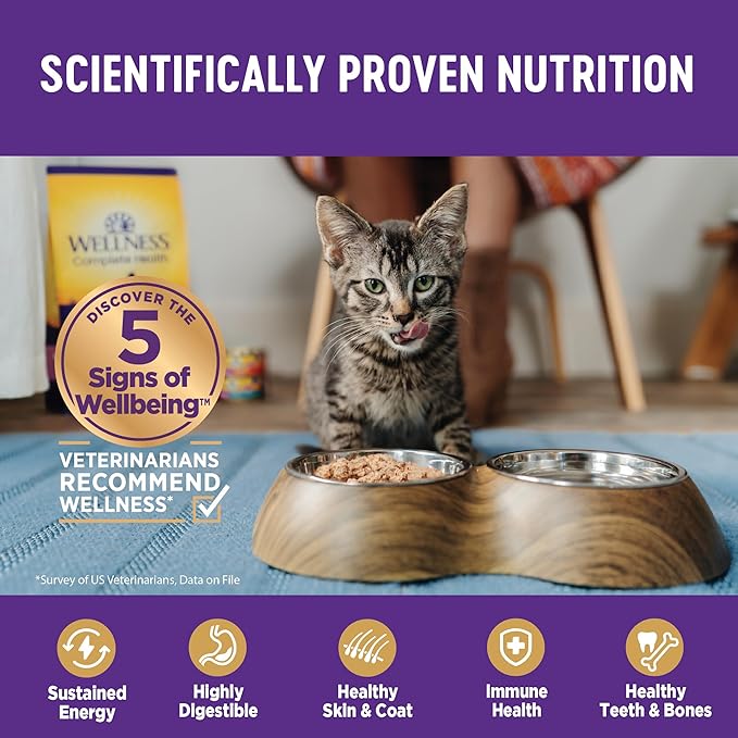 Wellness Complete Health Gravy Adult Wet Cat Food, Natural, Protein-Rich, Grain Free, 5.5 Ounce, 12 Pack, (Turkey Dinner)