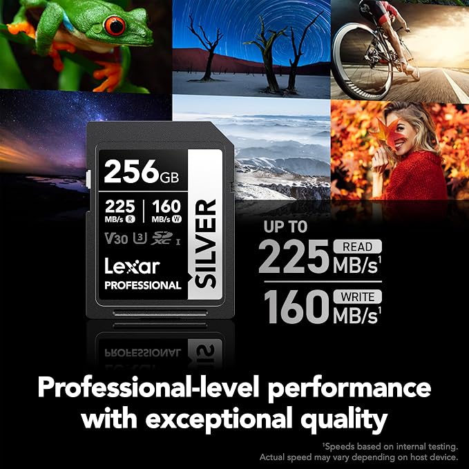 Lexar 256GB Professional Silver SD Card,