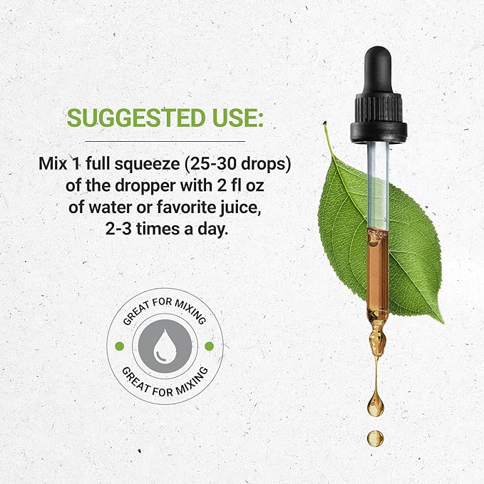 Secrets of the Tribe Elecampane Alcohol-Free Liquid Extract, Elecampane (Inula Helenium) Dried Root Tincture Supplement (2 FL OZ)
