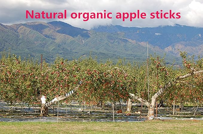sharllen 200g (7.05oz) Natural Apple Sticks Wood Tree Branches Pet Snacks Chew Toys for Rabbit Hamsters Guinea Pig Chinchillas Squirrel and Other Small Animals