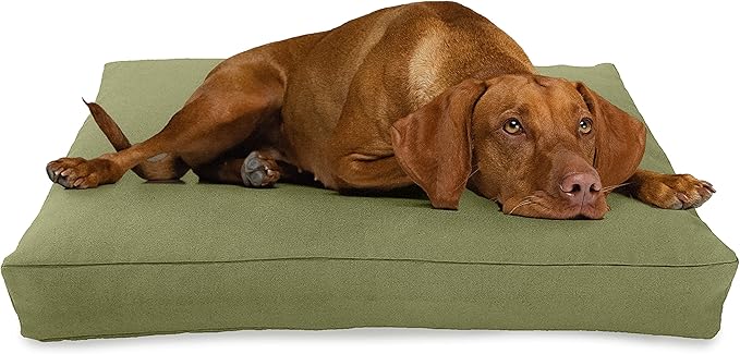 Small - 30 x 20 x 4 - Cactus Premium Organic Hemp Dog Bed - Organic Latex Fill - Removeable Cover