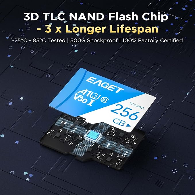EAGET 1-Pack 256GB TF Memory Card Up to 100MB/s Read 70MB/s Write