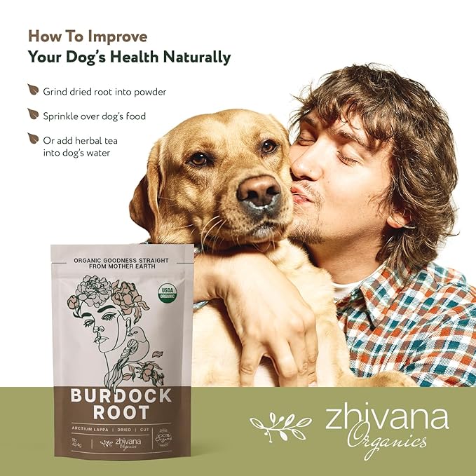 Premium Burdock Root Organic (16 oz.) - Greater Burdock Root Tea Loose - Raíz De Bardana Organica 우엉차 - Bulk Herbal Tea for Liver Cleanse, Body Detox, Digestion