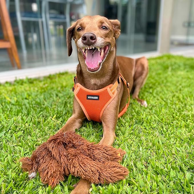 Best Pet Supplies Voyager Adjustable Step-in Flex Breathable Mesh Dog Harness for Small Medium Large Dogs (Orange), XL