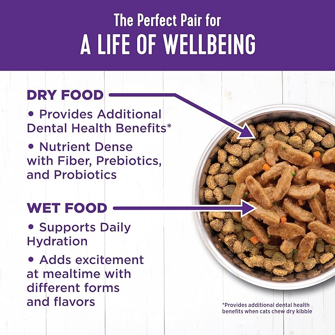 Wellness Complete Health Sliced Adult Wet Cat Food, Natural, Protein-Rich, Grain Free, 5.5 Ounce, 24 Pack, (Chicken Entrée)