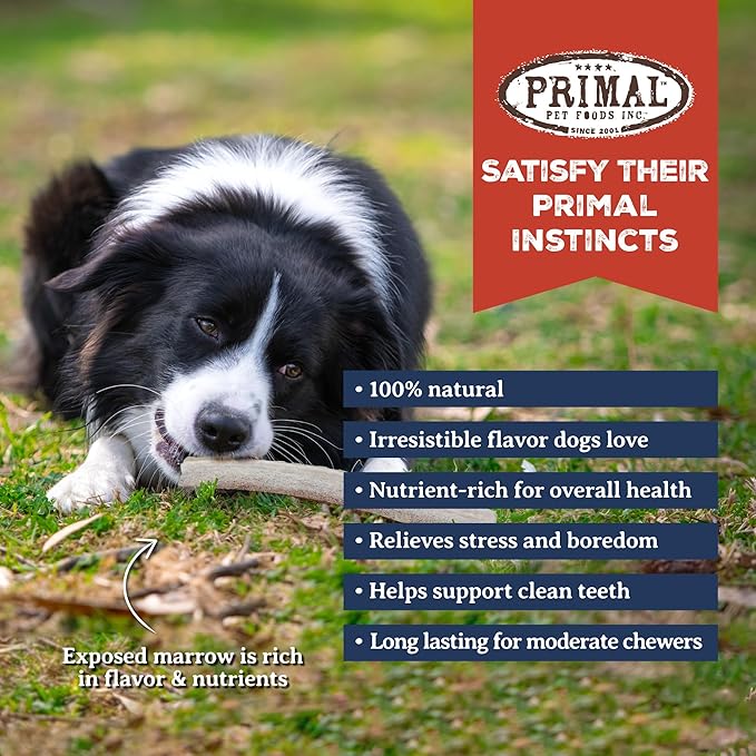 Primal Antlers for Dogs, Grade A Split Moose Antlers for Large Canines 30-45 lb, Natural Chews for Aggressive Chewers, Naturally Shed, Long Lasting Dog Bones, 1 ct