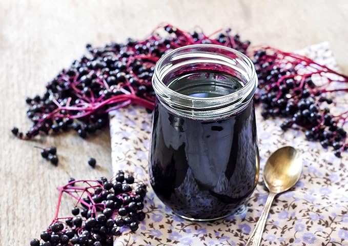 Food to Live Organic Black Elderberry Powder, 2 Pounds – Non-GMO, Made from Raw Dried Berries, Unsulfured, Vegan, Bulk, Great for Baking, Smoothies, Yogurts, No Sulphites, Contains Maltodextrin