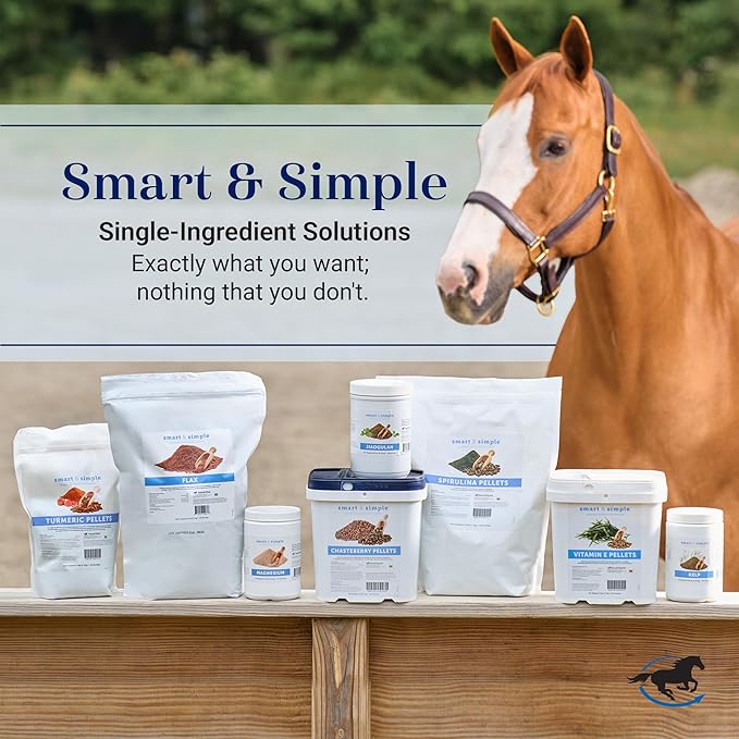 Smart & Simple Raspberry Leaf | Horse Moody Mare Supplement | Organic Whole Leaf | Single Ingredient | Equine Supplement | 56 Servings | 0.5 lb Bag