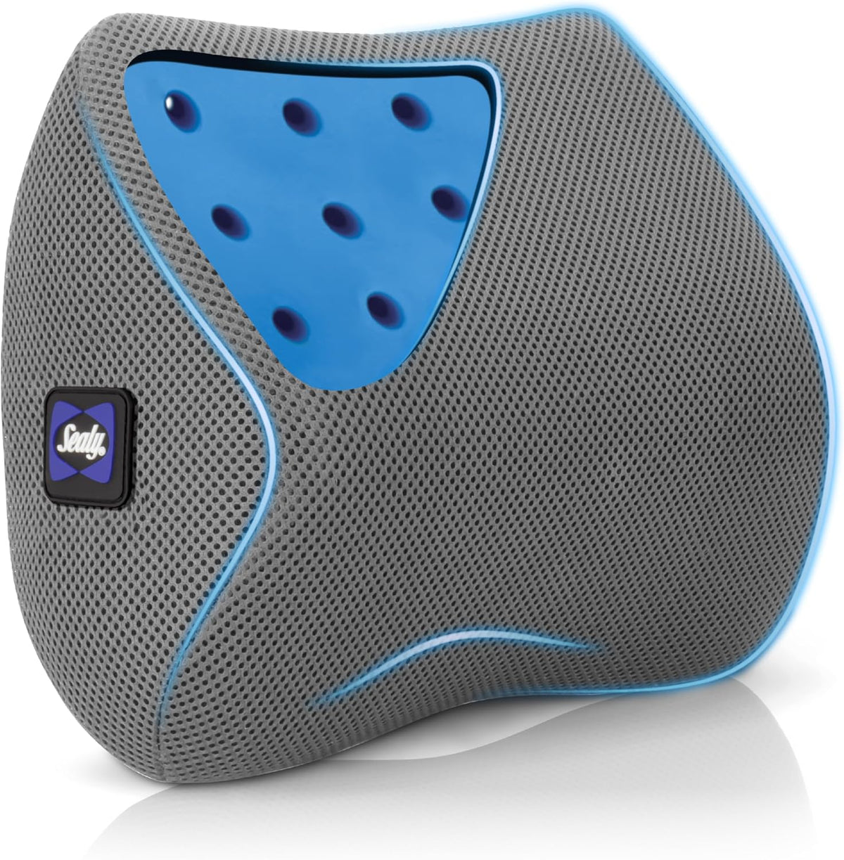 Sealy Ergonomic Car Neck Cushion – Memory Foam Neck Pillow for Car or Office Chair, Travel Neck Pillow,