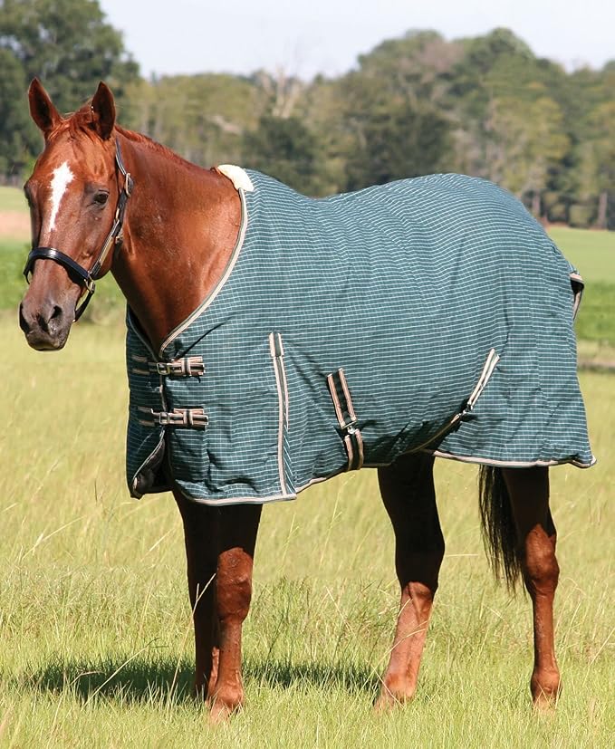 Jeffers Equine Basic Canvas Horse Blanket, 69" – Water Resistant Turnout Blanket for Horses, Pony, Draft – Breathable, Adjustable Straps, Tail Flap, Shoulder Gussets, Barn Gear - Green Tan Check