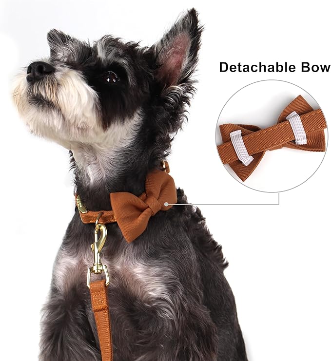 Beirui Adorable Small Dog Harness Collar Leash Set,Cute Puppy Harness with 3 Bows for XS Dogs,Yorkie,Adjustable Step-in Vest for Walking,Parties&Holiday Outfits(Brown,XS)