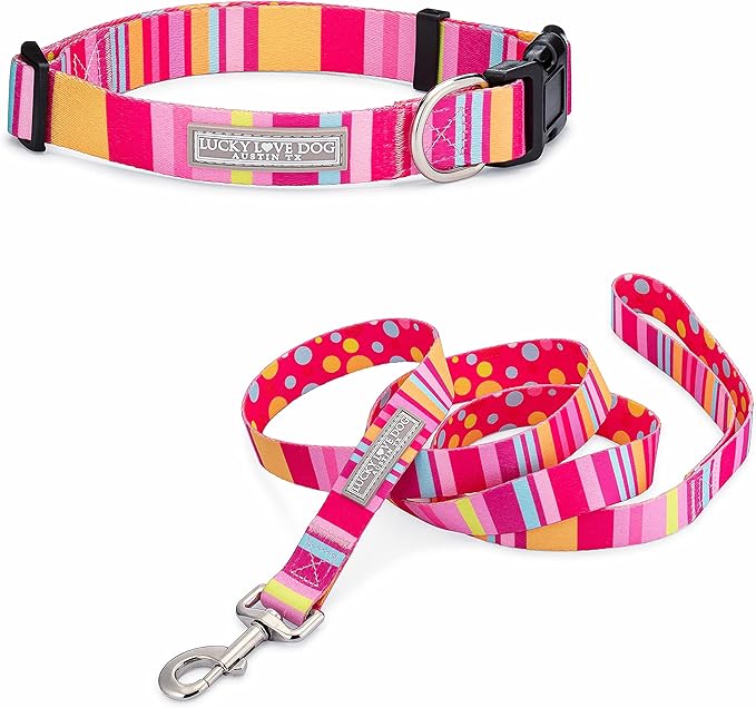 Lucky Love Dog - Easy Click Buckle Dog Collar with Leash Set Combo, Durable & Comfortable for Male & Female Dogs, Pet Collar for Small Dogs, Secure Fit - Molly Combo, Extra Small