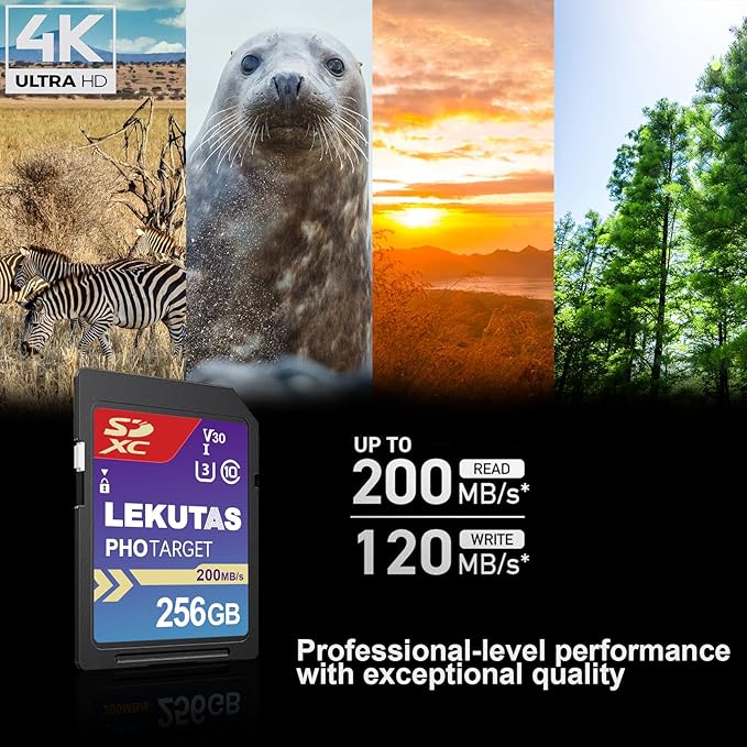 256GB SDXC UHS-I Memory Card