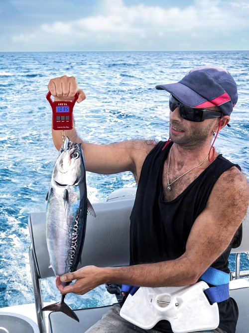 HEETA Digital Fishing Scale - 110lb Capacity with Backlit LCD Display & Non-Slip Handle | Portable Luggage Scale